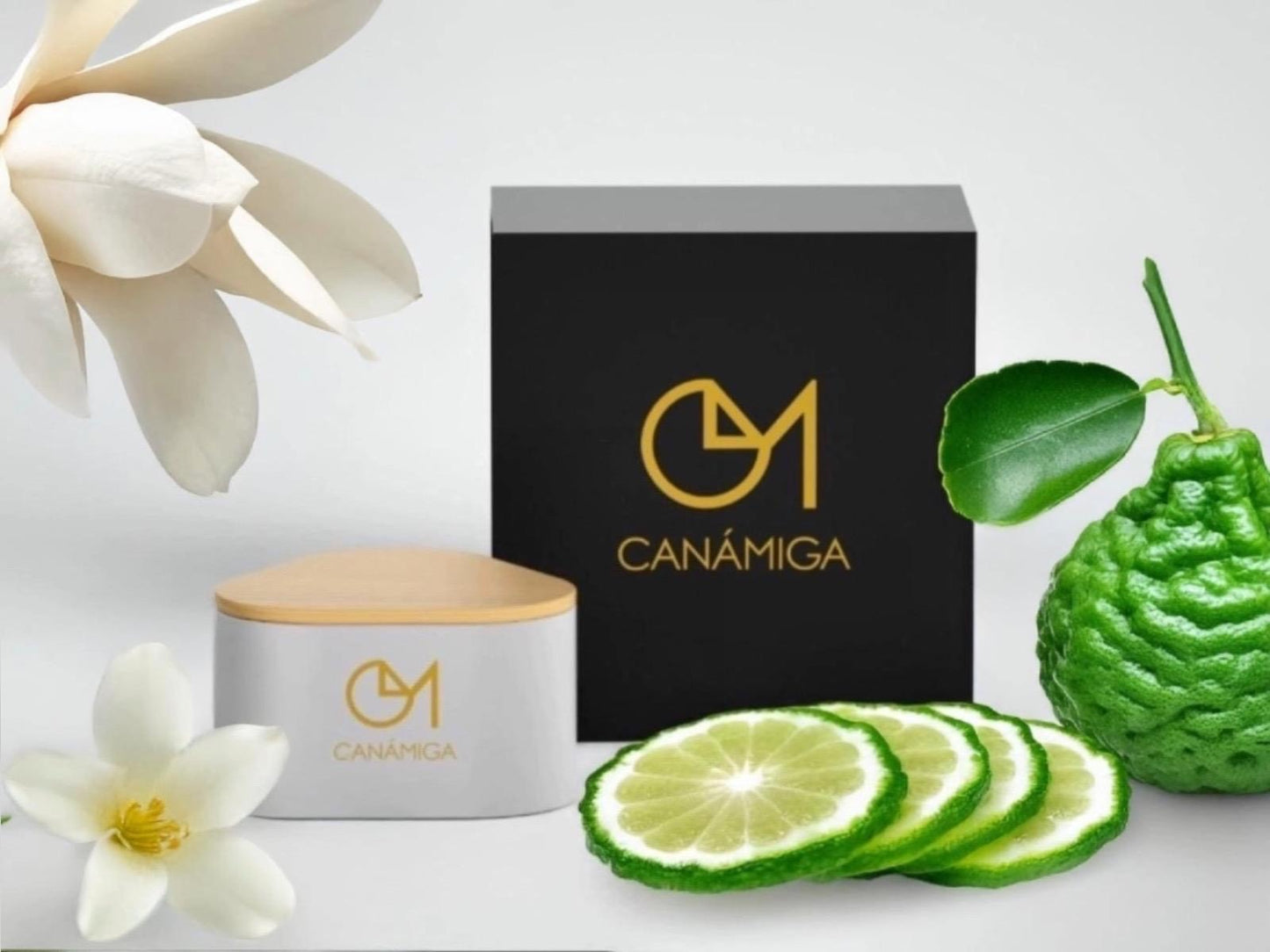 CANÁMIGA Duftkerze (325g) | Bergamotte, Magnolie, Moschus