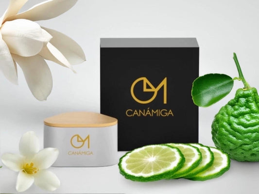 CANÁMIGA Duftkerze (325g) | Bergamotte, Magnolie, Moschus